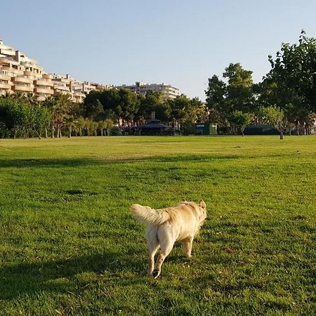 Primera Linea Acapulco III Oropesa del Mar Eksteriør bilde